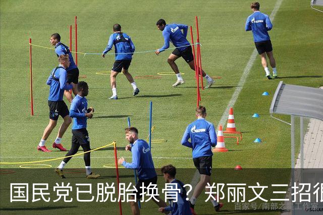 国民党已脱胎换骨？郑丽文三招很高明，两员大将联手下架民进党？